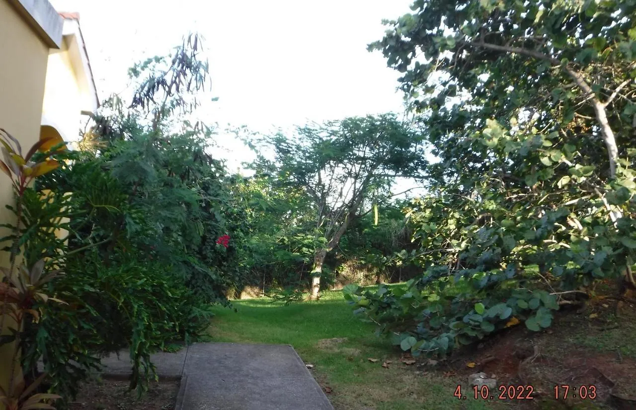 The Yellow House: Fully Equipped, Spectacular Beach View Villa Manati Holiday home