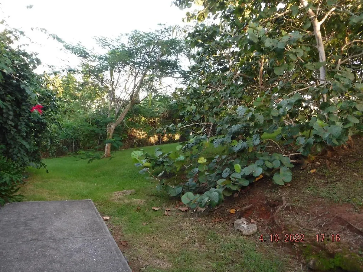 The Yellow House: Fully Equipped, Spectacular Beach View Villa Manati 0*,  Puerto Rico