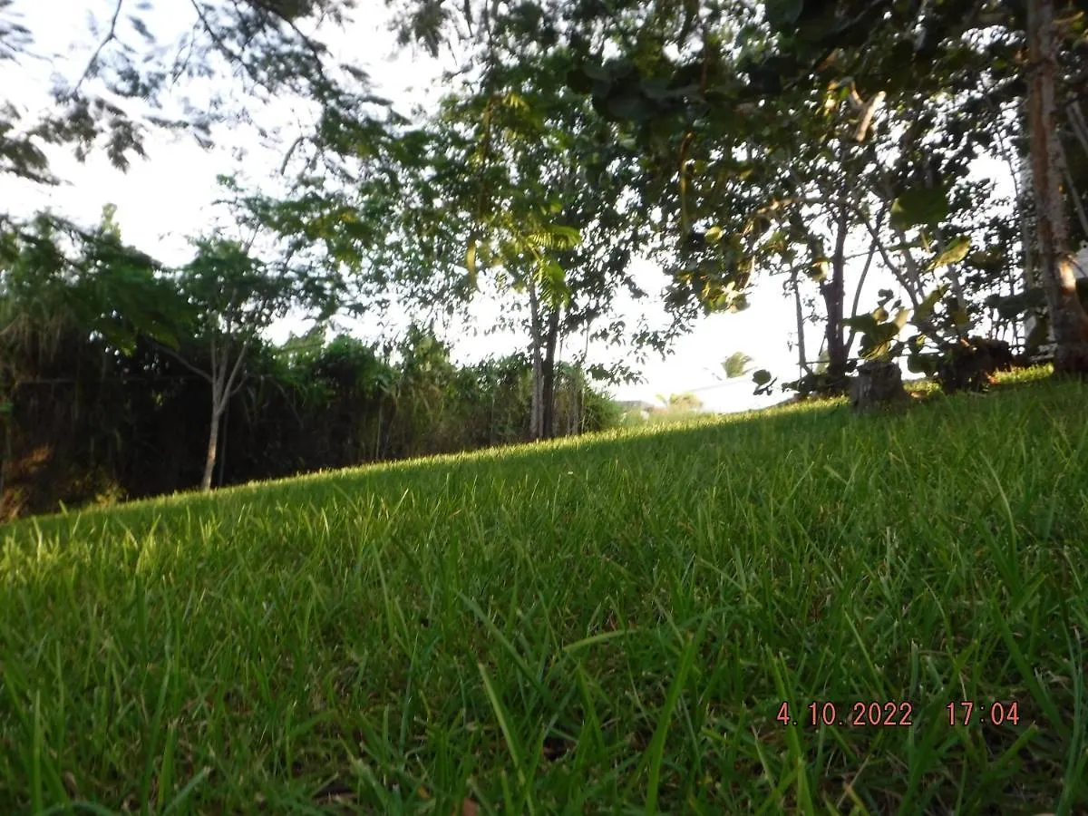 The Yellow House: Fully Equipped, Spectacular Beach View Villa Manati Holiday home
