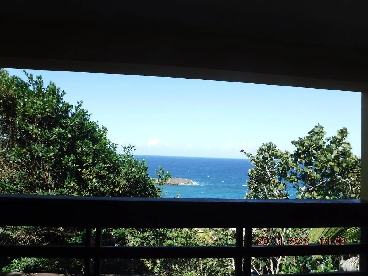 The Yellow House: Fully Equipped, Spectacular Beach View Villa Manati 0*,