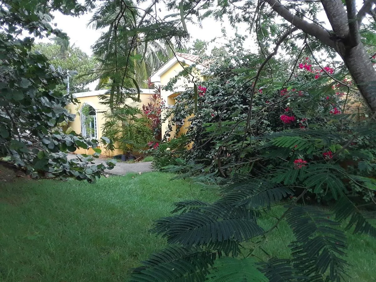 The Yellow House: Fully Equipped, Spectacular Beach View Villa Manati Holiday home